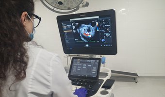 Ultrasound 1